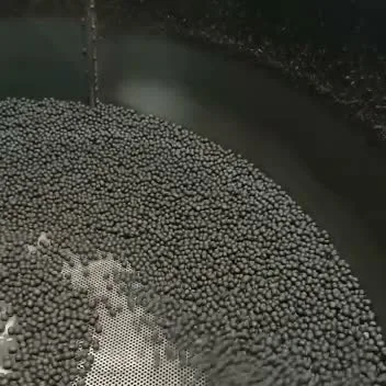 Roasted açaí seed tumbling in the roaster drum, mid-batch.