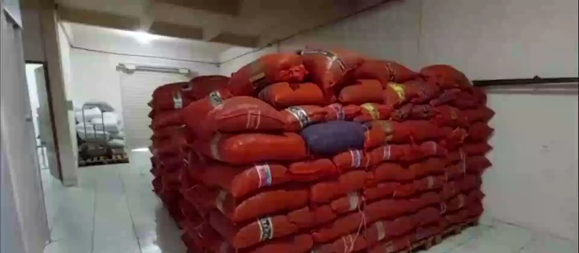 Stacked ventilated sacks of dried açaí seed in the factory store room.