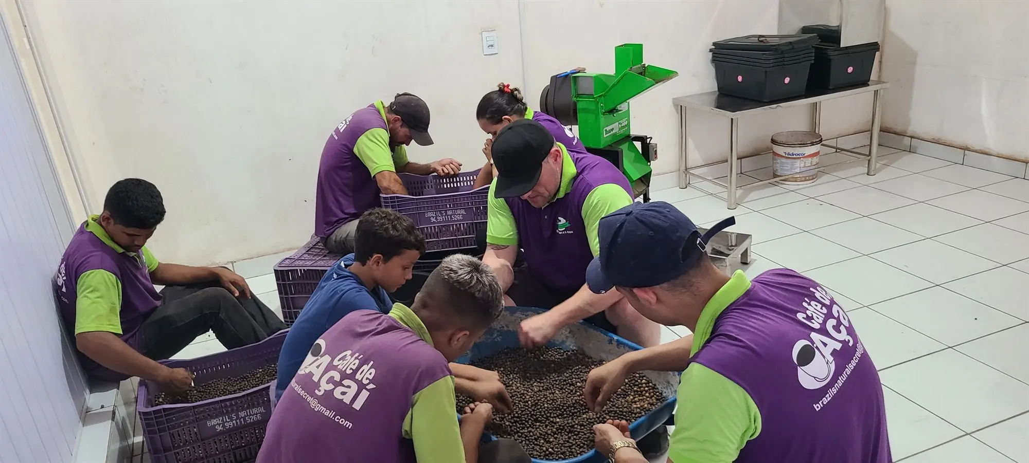 Workers at the Brazil's Natural Secret factory sorting roasted açaí seed by hand around a tub, with the mill behind them.
